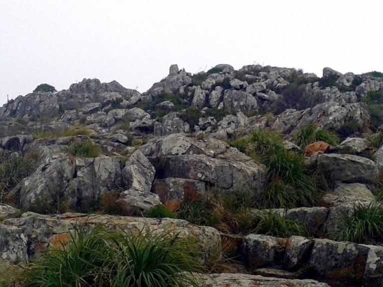 Lee más sobre el artículo Sierra de las Ánimas: naturaleza, aventura y paisajes serranos en Tandil
