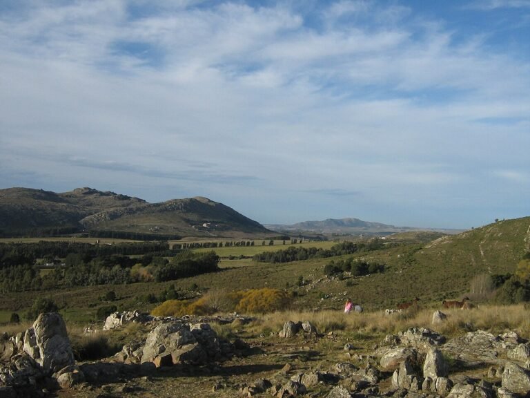 Lee más sobre el artículo Reserva Natural Sierra del Tigre: naturaleza y fauna en el corazón de Tandil
