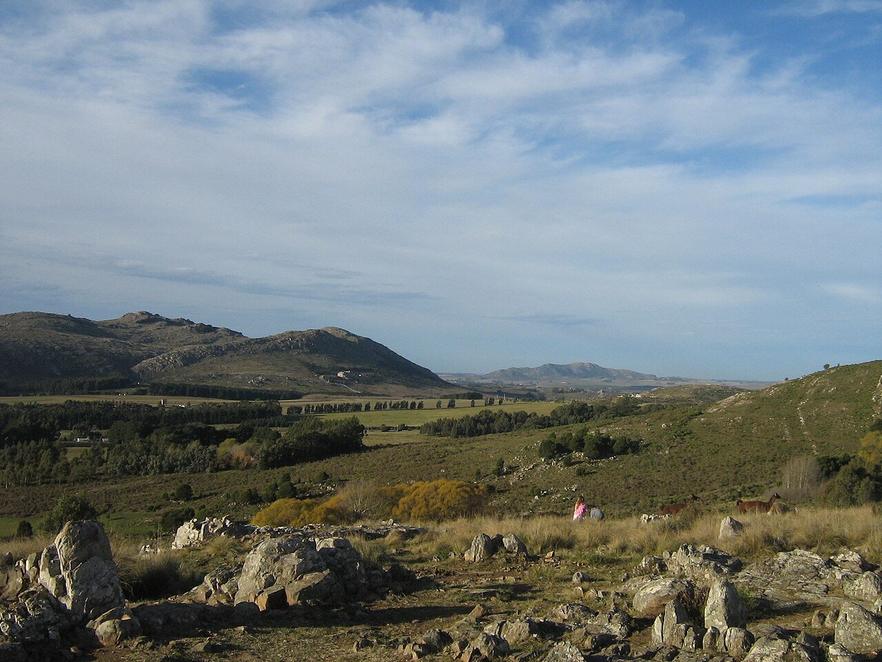 En este momento estás viendo Reserva Natural Sierra del Tigre: naturaleza y fauna en el corazón de Tandil
